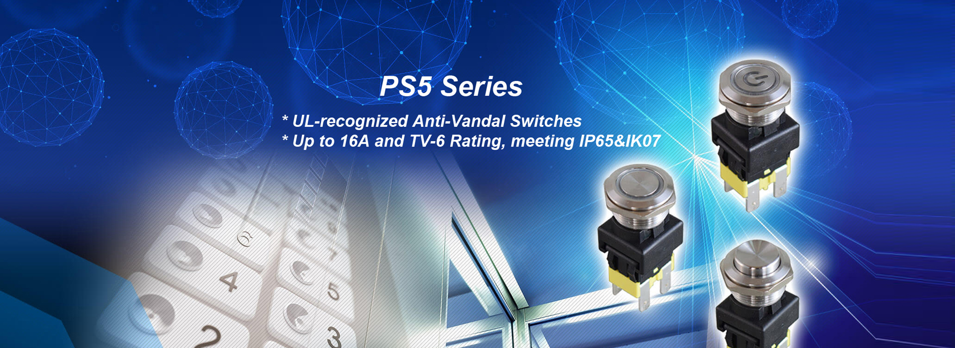 PS5 シリーズ耐破壊性スイッチ