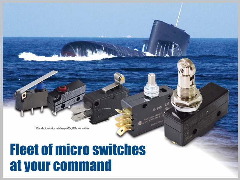 Micro/Detector Switches